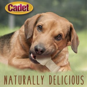 Cadet Premium Grade Beef Hide for Dogs, Long Lasting Rawhide Knotted Bones Single Ingredient Dog Chews, 6"-7" Dog Bones, 4 Pack