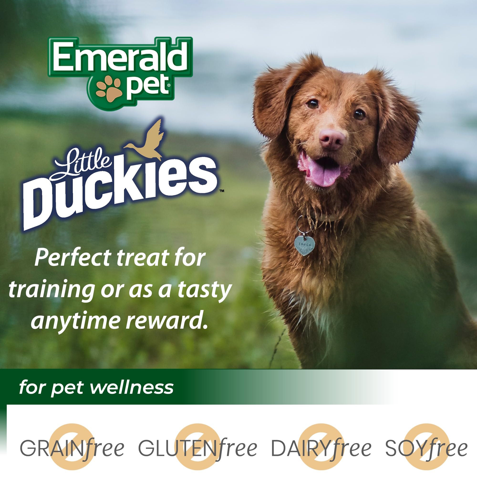 Emerald Pet Little Duckies Duck Dog Treats — Crunchy and Tasty Natural Dog Treats Made with Protein-Rich Roasted Duck Meat — Healthy, Grain Free Dog Treats Made in The USA — Pumpkin, 5 oz