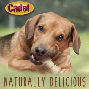 Cadet Premium Grade Beef Hide for Dogs, Long Lasting Rawhide Knotted Bones Single Ingredient Dog Chews, 4"-5" Dog Bones, 1 Pound