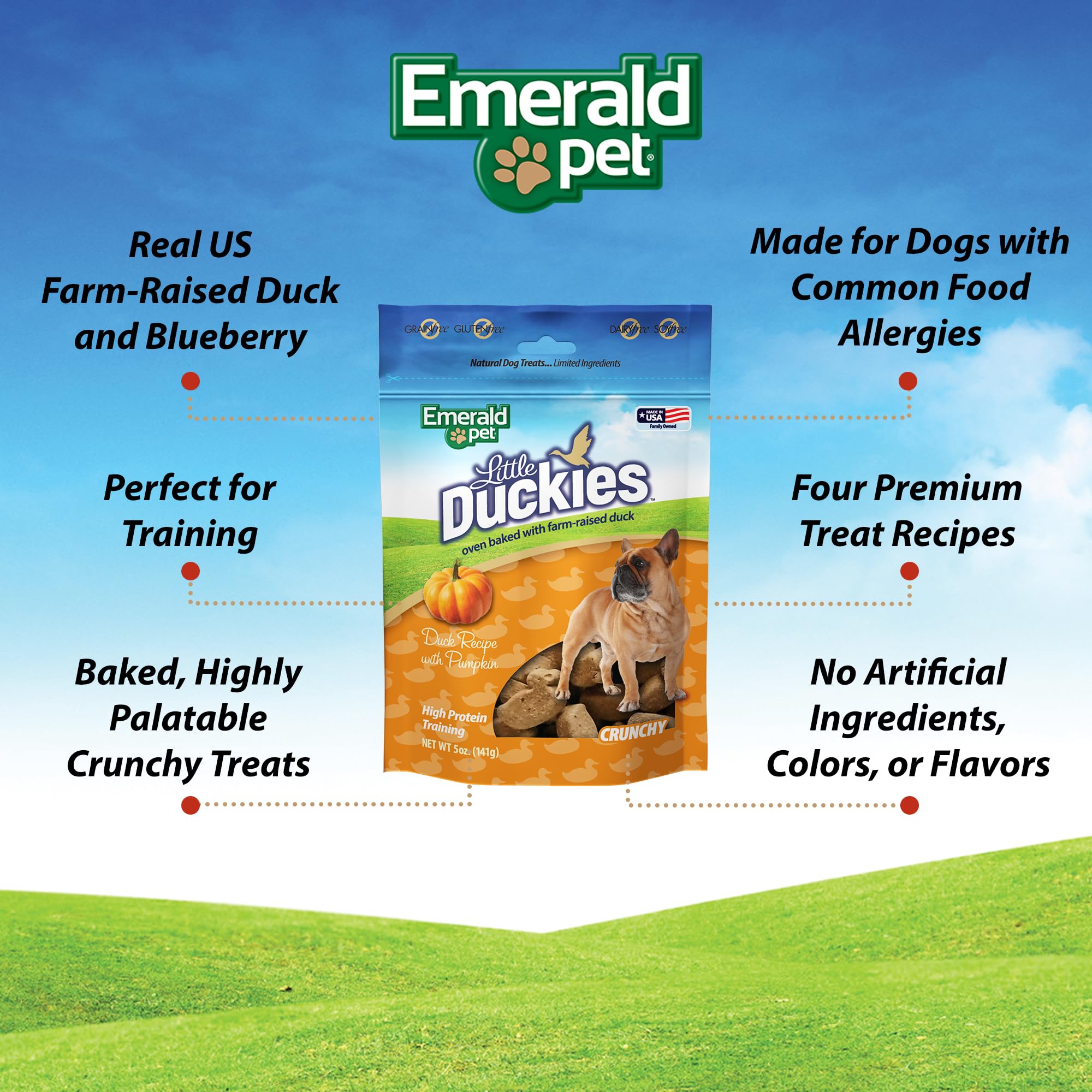 Emerald Pet Little Duckies Duck Dog Treats — Crunchy and Tasty Natural Dog Treats Made with Protein-Rich Roasted Duck Meat — Healthy, Grain Free Dog Treats Made in The USA — Pumpkin, 5 oz