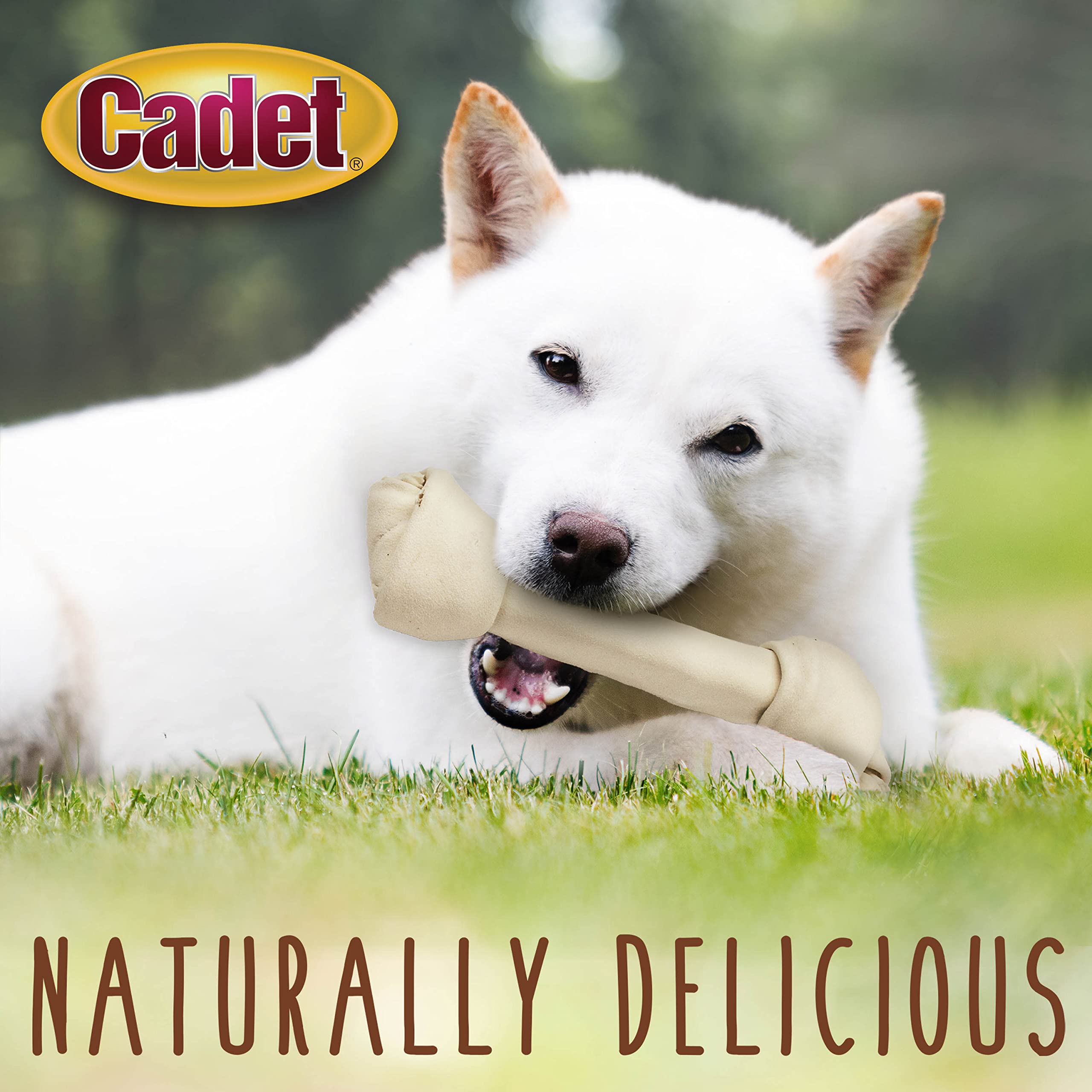 Cadet Premium Grade Beef Hide for Dogs, Rawhide Long Lasting Dog Chews, Chips, Curls & Rolls for Small/Medium/Large Dogs