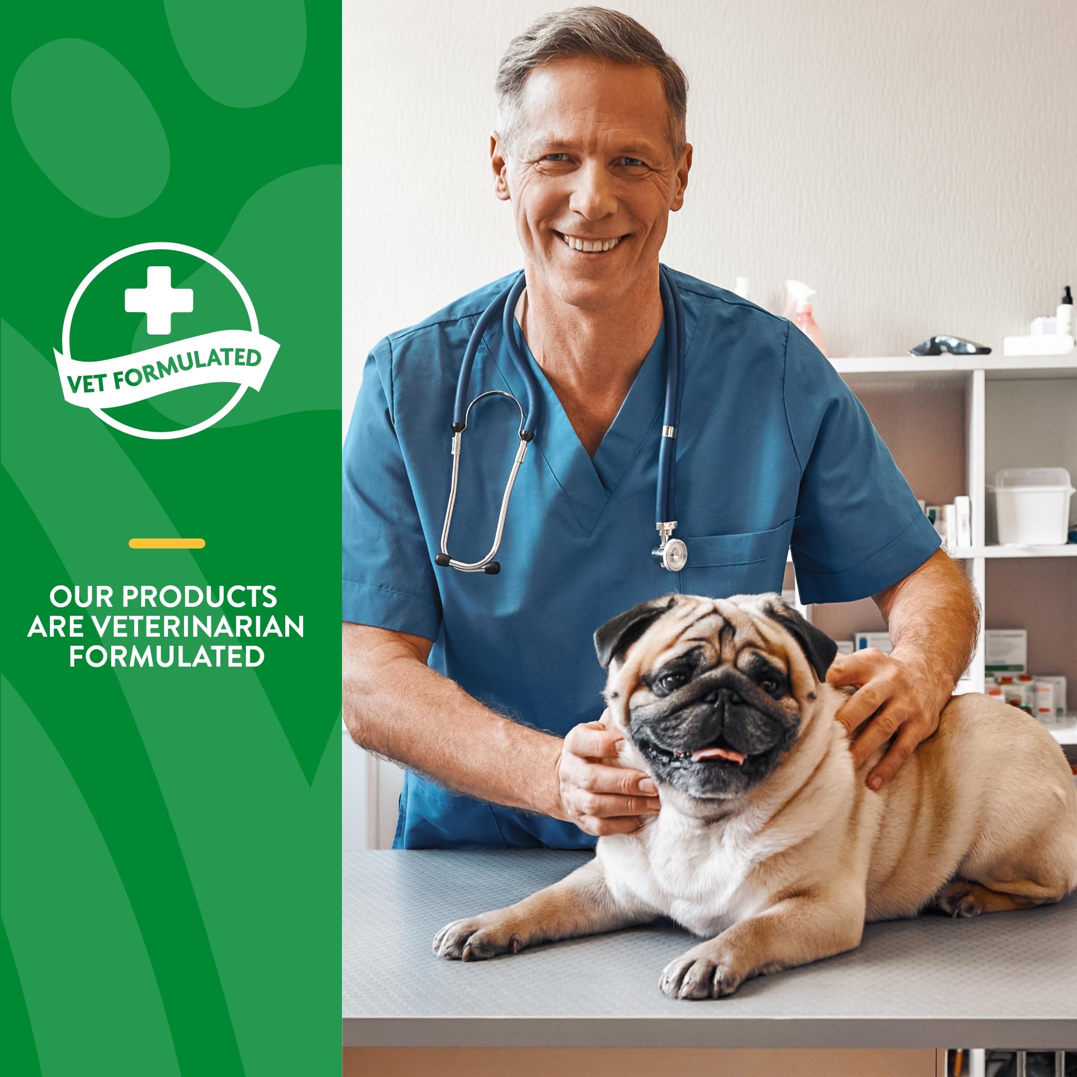 NaturVet - No Scoot for Dogs - Plus Pumpkin - Supports Healthy Anal Gland & Bowel Function - Enhanced with Beet Pulp & Psyllium Husk (5.4oz Powder)