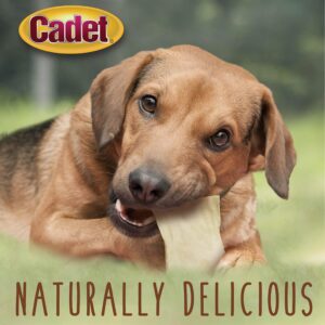 Cadet Premium Grade Beef Hide for Dogs, Rawhide Long Lasting Dog Chews, Chips, Curls & Rolls for Small/Medium/Large Dogs