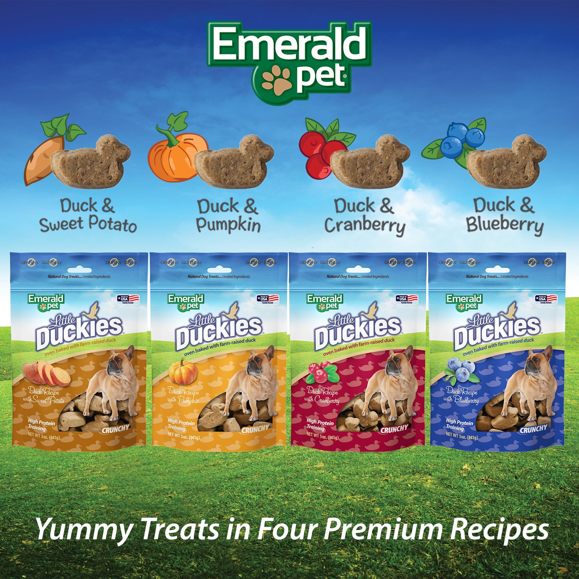 Emerald Pet Little Duckies Duck Dog Treats — Crunchy and Tasty Natural Dog Treats Made with Protein-Rich Roasted Duck Meat — Healthy, Grain Free Dog Treats Made in The USA — Pumpkin, 5 oz