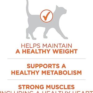 Purina ONE High Protein, Healthy Weight Dry Cat Food, +Plus Ideal Weight With Turkey - 3.5 lb. Bag