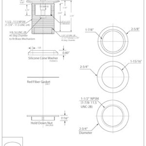 Westbrass D98R-26 1-1/2-Inch NPSM Coarse Thread Integrated Overlfow ADA Approved Tip-Toe Bath Drain