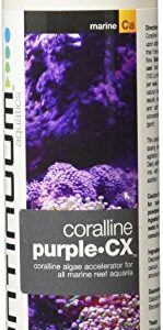 Continuum Aquatics, 250-ml