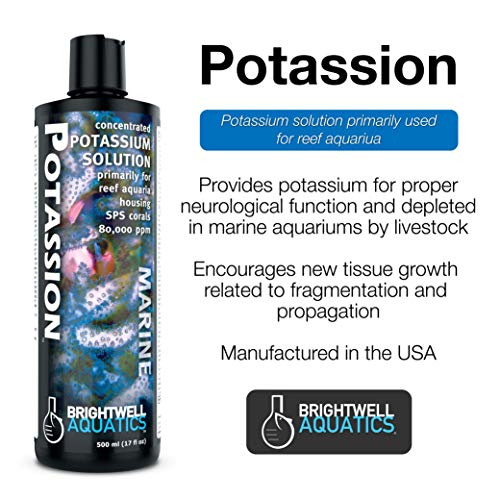 Brightwell Aquatics Potassion - Liquid Potassium Supplement for Marine Reef Fish Aquariums