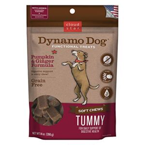 cloud star dynamo dog tummy treats – soft & chewy probiotics support for dogs (14 oz. pumpkin and ginger) (20212)