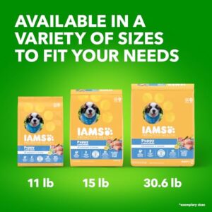 IAMS Smart Puppy Large Breed Dry Dog Food with Real Chicken, 15 lb. Bag