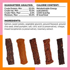 BIXBI Skin & Coat Support Salmon Jerky Dog Treats, 10 oz - USA Made Grain Free Dog Treats - Antioxidant Rich to Support Shiny, Full Bodied Coats - High in Protein, Whole Food Nutrition, No Fillers