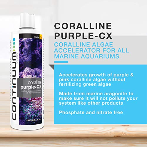 Continuum Aquatics, 250-ml