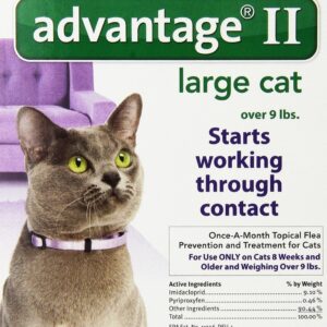 Advantage Flea Control for Cats and Kittens Over 9 lbs 6 Month Supply