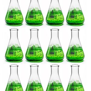 EISCO 12PK Erlenmeyer Flasks, 100mL - Borosilicate Glass - Narrow Neck Flasks, Conical Flasks, Glass Flasks