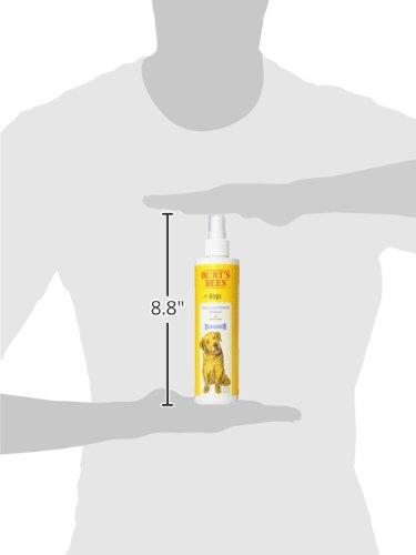 Burt's Bees for Pets Naturally Derived Itch Soothing Spray with Honeysuckle - Best Anti-Itch Spray for Dogs With Itchy Skin - Cruelty Free, Formulated without Sulfates and Parabens, 10 Fl Oz