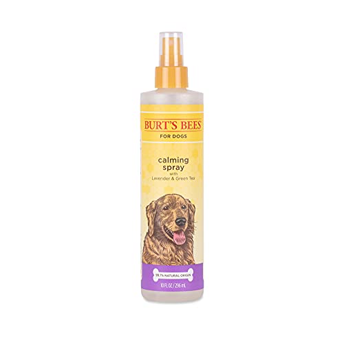 Burt's Bees for Pets Calming Spray with Lavender and Green Tea, Naturally Derived Dog Spray for All Dogs to Calm and Soothe, 10 Fl Oz Dog Spray - Made in the USA