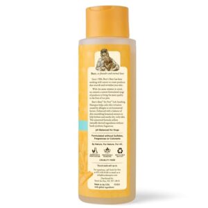 Burt's Bees for Pets Itch Soothing Dog Shampoo with Honeysuckle and Aloe Vera - Cruelty Free, Fragrance Free Dog Anti Itch Shampoo for Sensitive Skin, Dry Skin Relief for Dogs, 16 Fl Oz