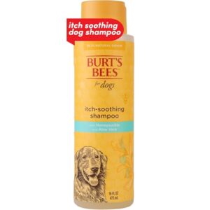 burt's bees for pets itch soothing dog shampoo with honeysuckle and aloe vera - cruelty free, fragrance free dog anti itch shampoo for sensitive skin, dry skin relief for dogs, 16 fl oz