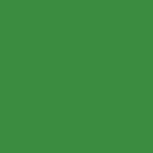 DESIGN MASTER 753 Spray Paint, Spring Green