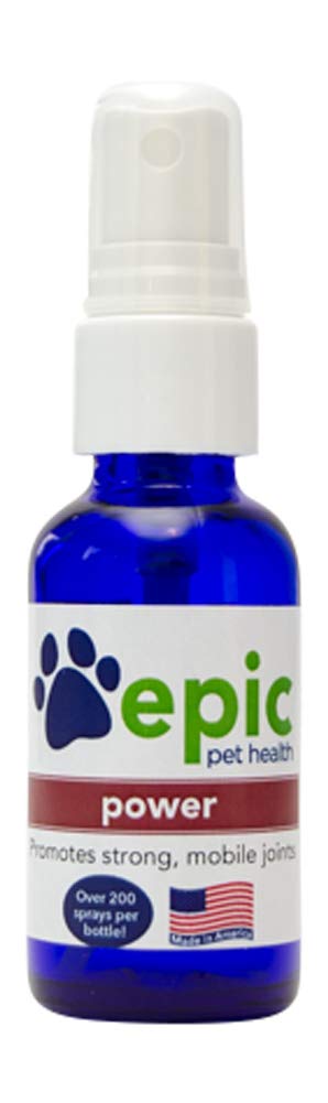 Power - Topical All Natural Liquid Supplement for Aging Pets- Electrolyte Pet Supplement That Promotes Strong, Mobile Joints Naturally (Spray, 1 Ounce) l