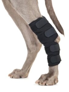 back on track therapeutic dog hock brace (pair), color: black, size: l (31020003)