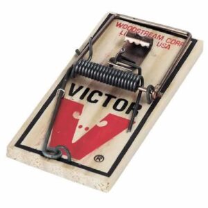 woodstream #m040 victor metal mouse trap12