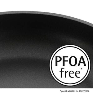 WMF W0576204291 Palmadur Premium Frying Pan, 7.9 inches (20 cm), W0576204291