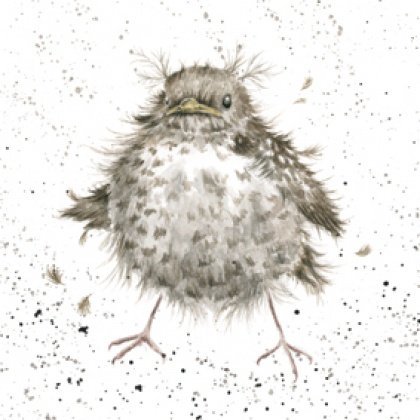 Birthday / Blank Artist Card (WRE0629) Little Bird Chick - 'Flying the Nest'