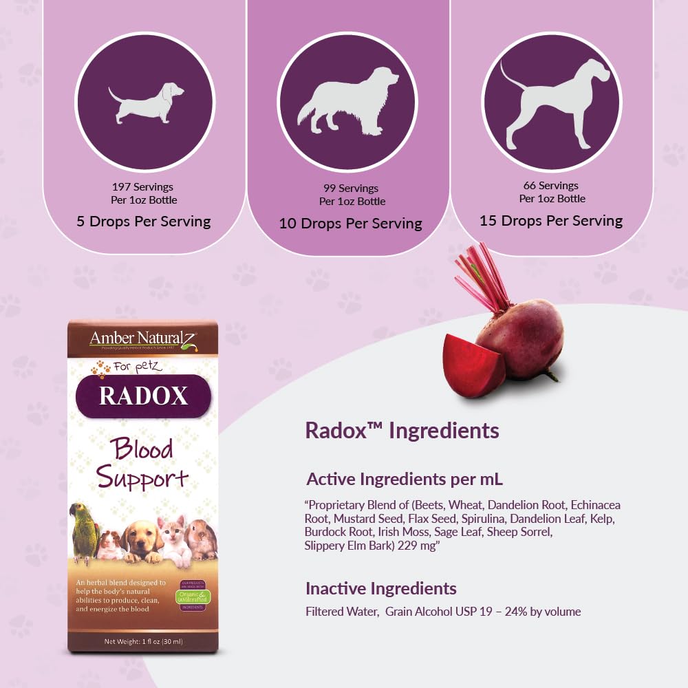 AMBER NATURALZ Radox Blood Support Herbal Blend for Dogs, Cats, Birds, Guinea Pigs, and Rabbits | Herbal Pet Supplement for Circulation and Iron | 1 Fluid Ounce Glass Bottle | Manufactured in The USA