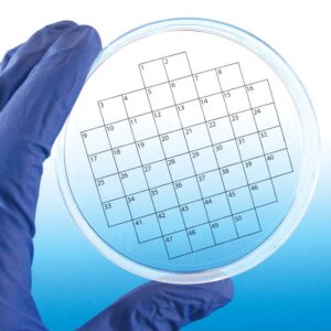 Diversified Biotech PetriStickers PSTK-1050 Square Grid Label for Petri Dish, 50 Square Grid (Pack of 36)