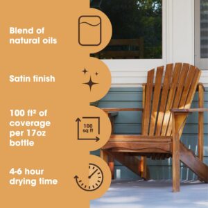 Furniture Clinic Danish Oil | Wood Care for Interior & Exterior Furniture | Restore, Seal & Protect Oak, Pine, Teak & More | Non-Toxic Natural Satin Finish | Repels Water, Stains, & Dirt | 8.5oz/250ml