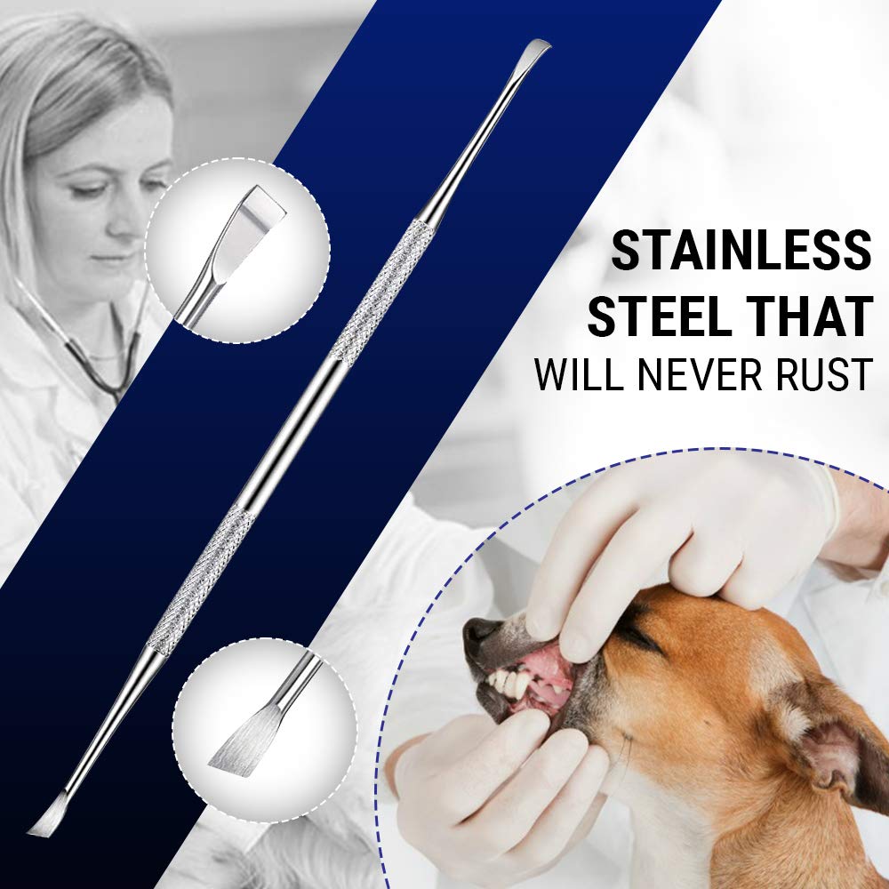 Pet Teeth Cleaning Tools – 6.5 Inch double header Tarter & Plaque remover tool for cats and dogs. Stainless Steel That Will Not Rust. By Majestic Bombay