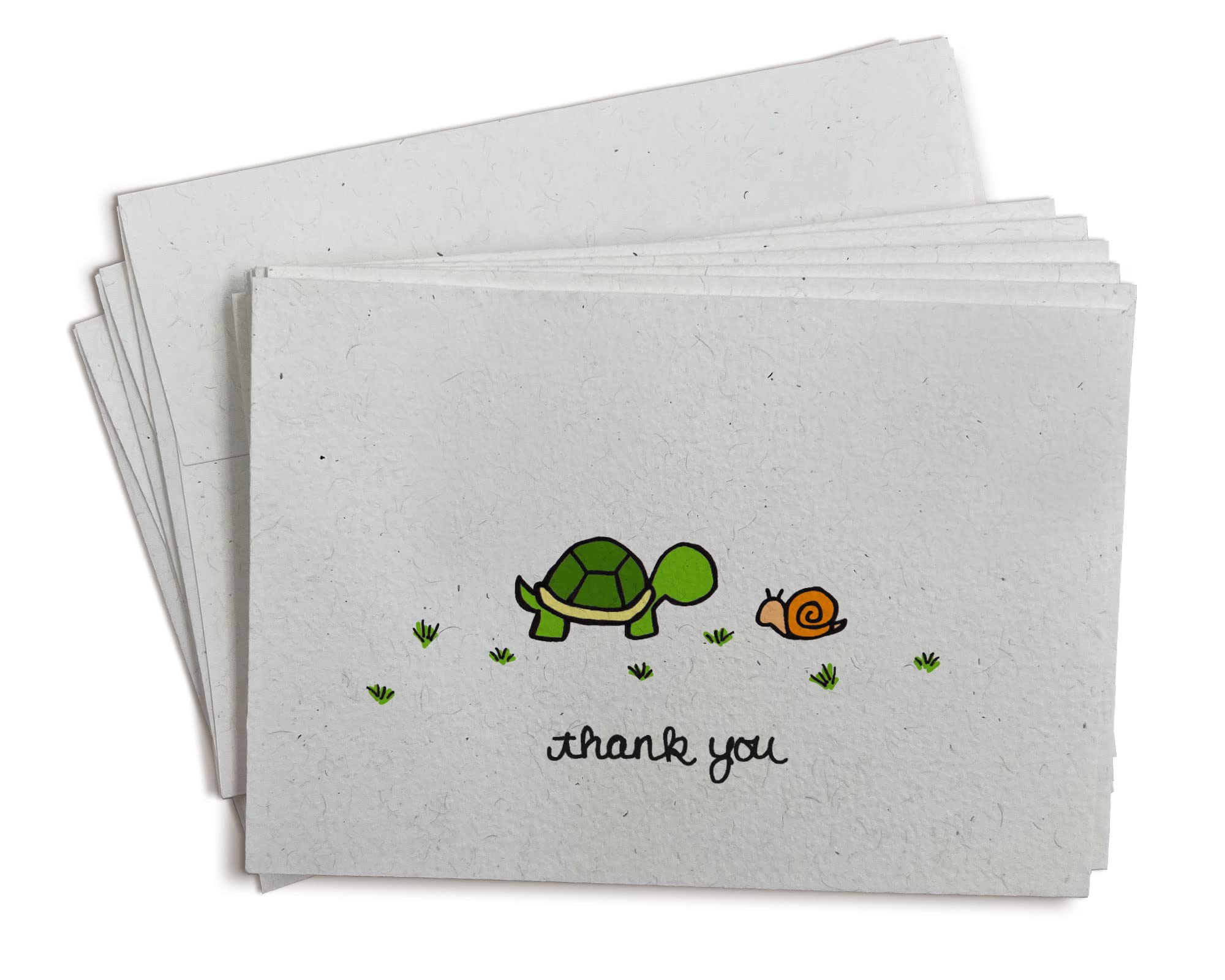 Sugartown Greetings The Turtle & The Snail Nature Thank You Cards - 24 Cards & Envelopes