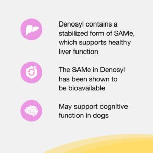 Nutramax Laboratories Denosyl Liver and Brain Health Supplement for Small Dogs and Cats - With S-Adenosylmethionine (SAMe), 3 Pack, 90 Total Tablets