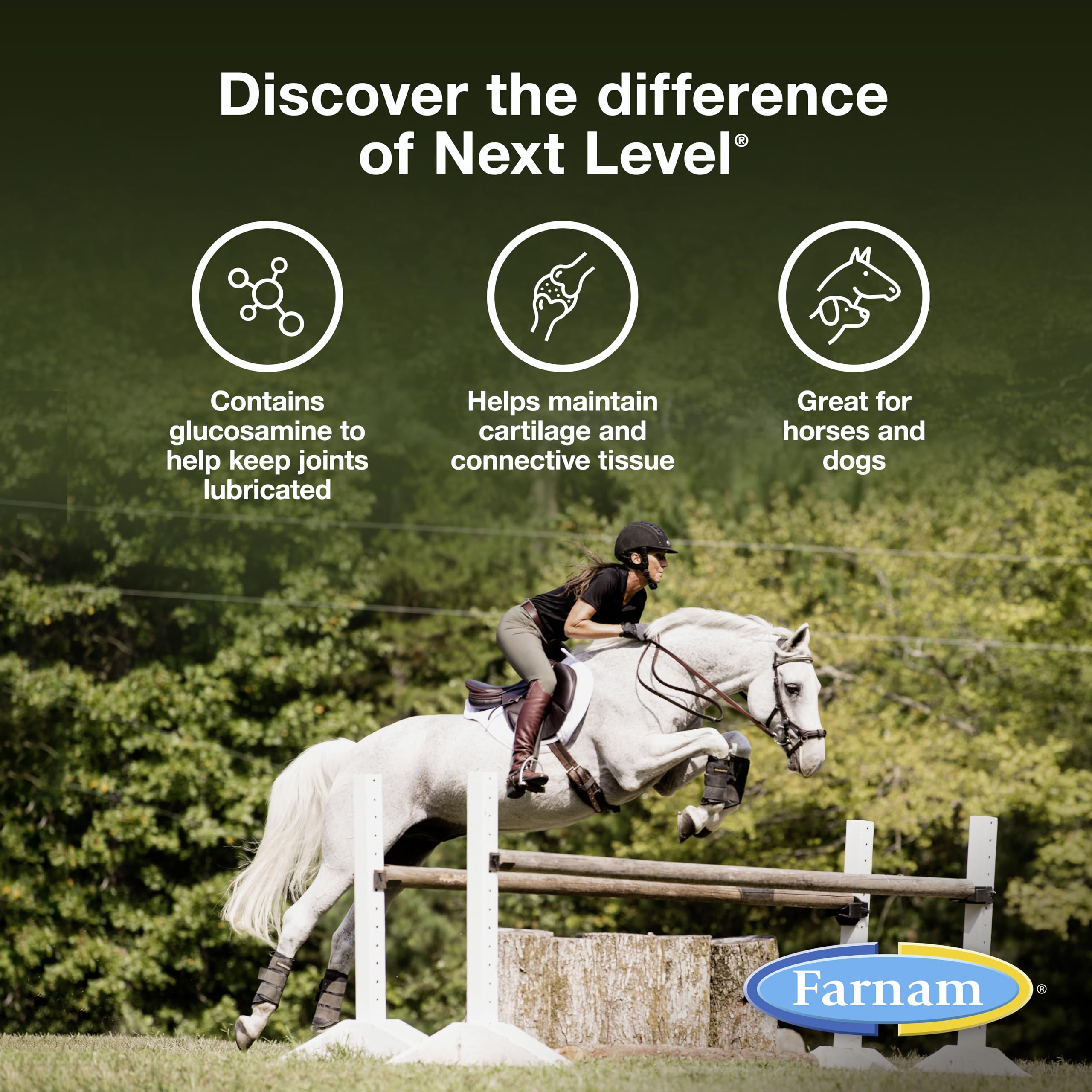 Farnam Next Level Horse Joint Supplement for Horses & Dogs, Helps Maintain Connective Tissue to Ease Joint Stiffness Due to Daily Activity, 32 oz, 32 Day Supply