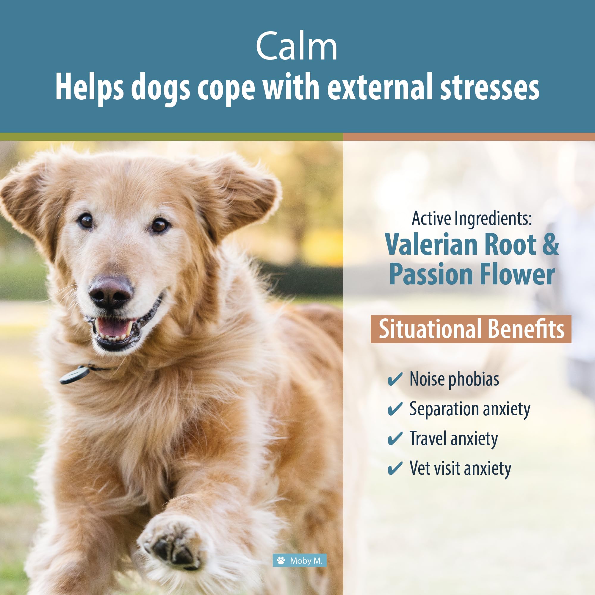 JustFoodForDogs Calm, Dog Calming Supplement for Stress, Anxiety, Travel, Thunderstorms, Hyperactivity, Fireworks - 90 Count