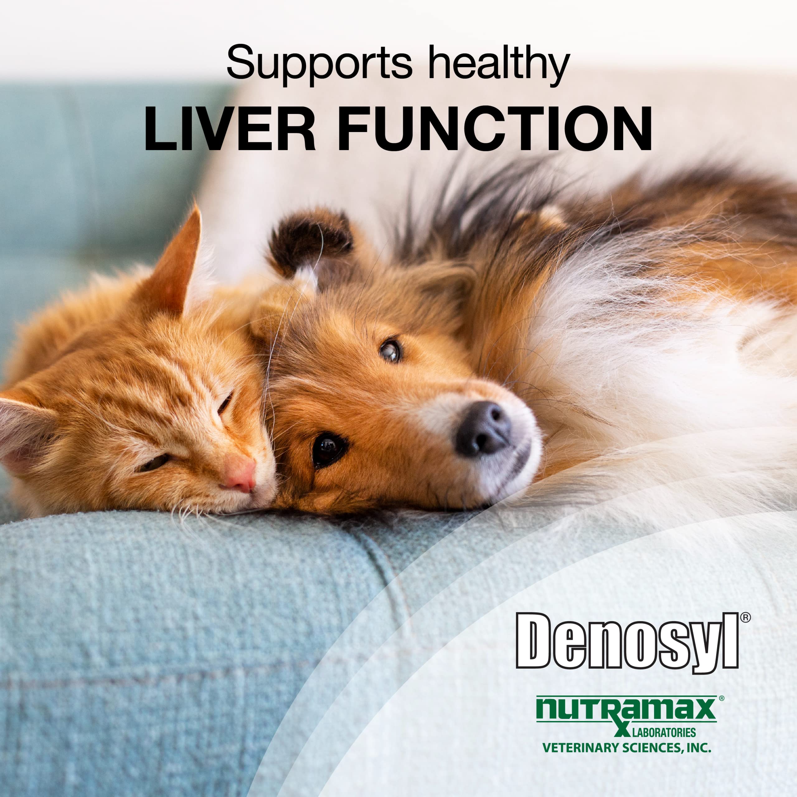 Nutramax Laboratories Denosyl Liver and Brain Health Supplement for Small Dogs and Cats - With S-Adenosylmethionine (SAMe), 3 Pack, 90 Total Tablets