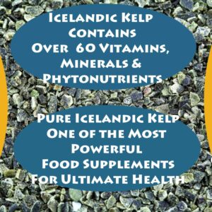 Icelandic Kelp Meal, 25lbs