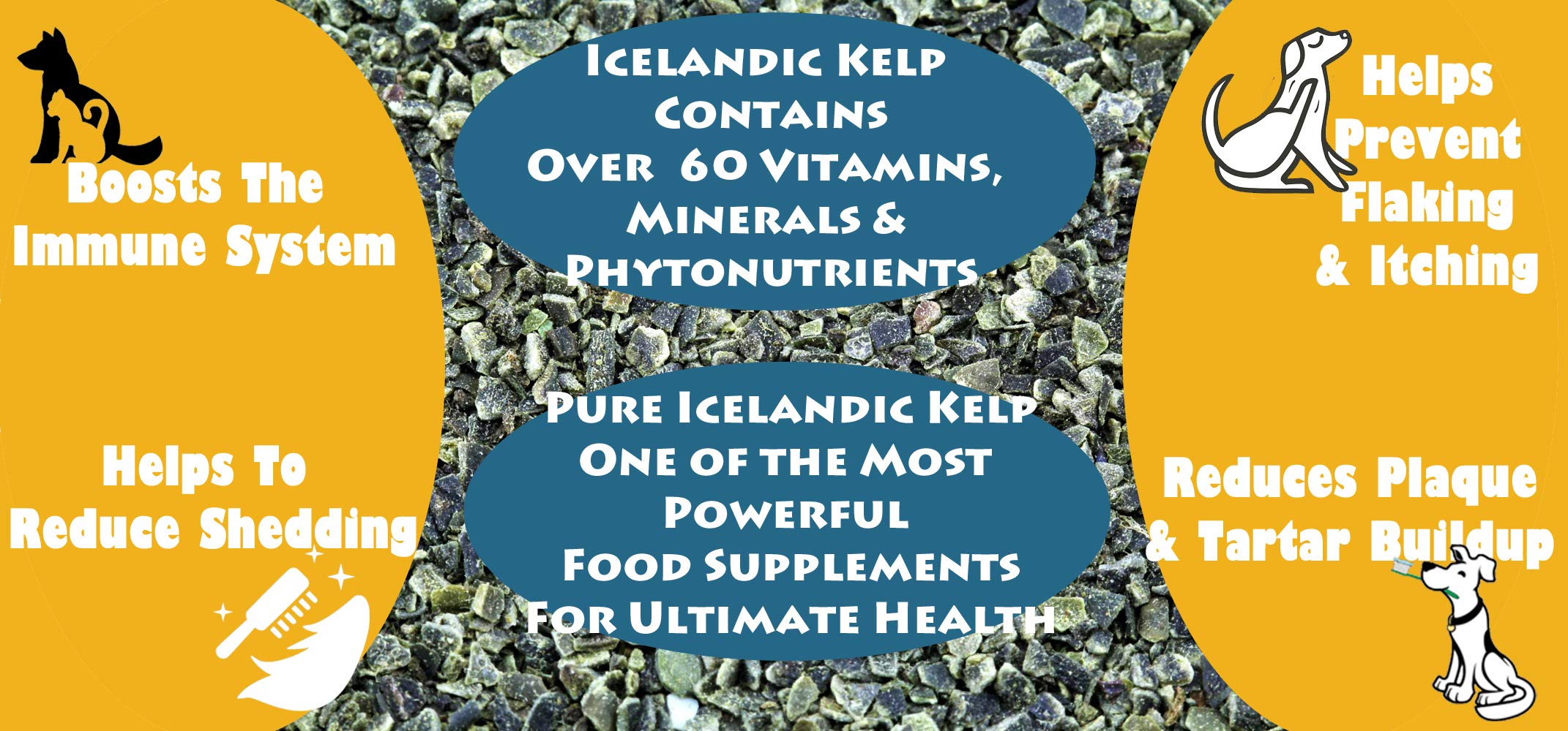 Icelandic Kelp Meal, 25lbs