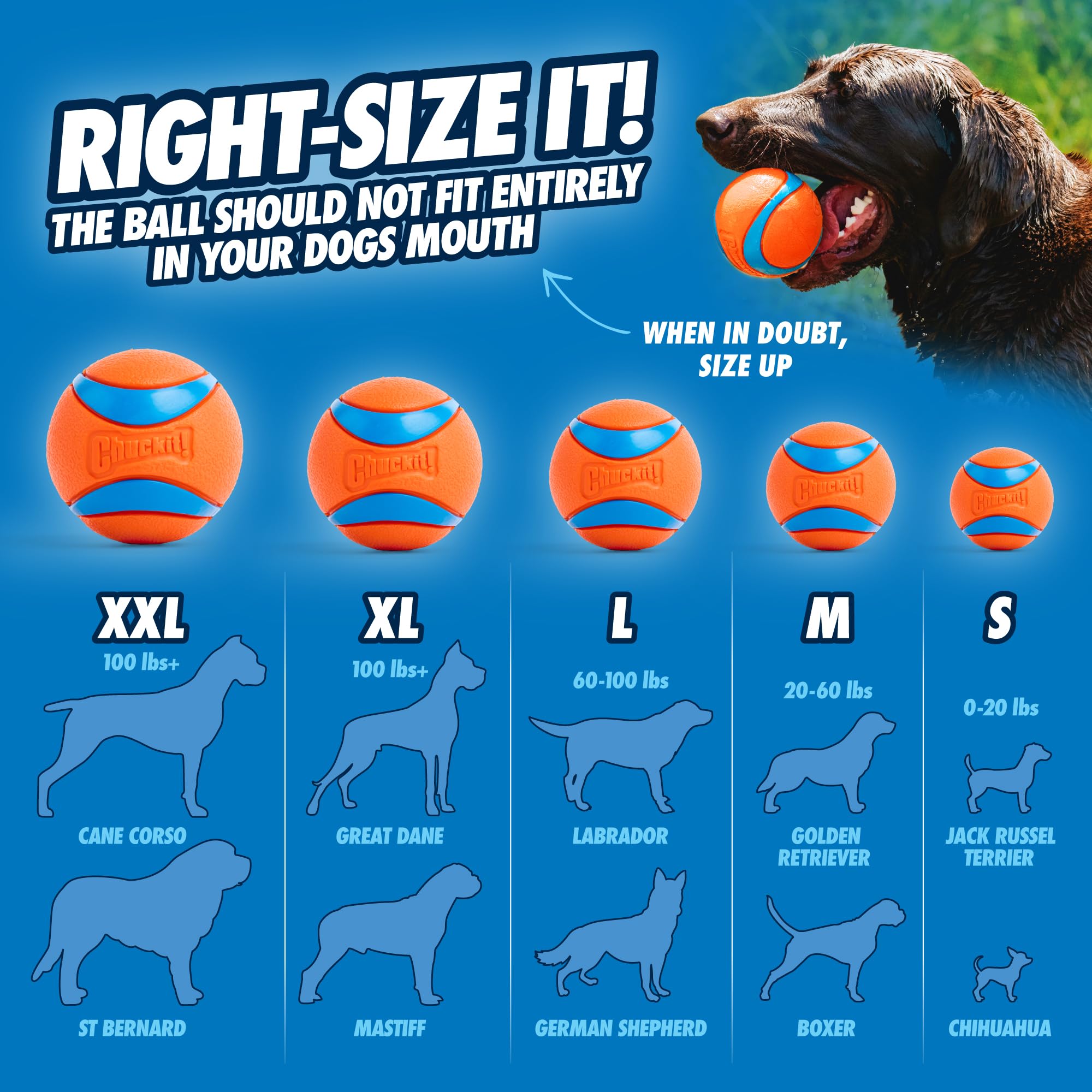 Chuckit! Ultra Ball Dog Toy - Size XL - For Dogs 100+ lbs - Made from Durable Rubber - Super Bouncy - Floats in Water - 3.5-inch Diameter - Pack of 1