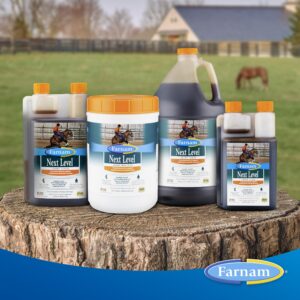 Farnam Next Level Horse Joint Supplement for Horses & Dogs, Helps Maintain Connective Tissue to Ease Joint Stiffness Due to Daily Activity, 32 oz, 32 Day Supply