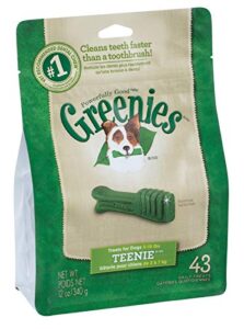 greenies mint dental stick for dog 12 oz. 9.63 in. 1 pk