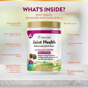 NaturVet Joint Health Level 3 Dog Soft Chew, 15.2 oz., Count of 180, 180 CT