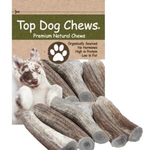 Top Dog Chews Premium Large Thick Elk Antler 5 Pack Dog Chew Treat Made in USA Brown