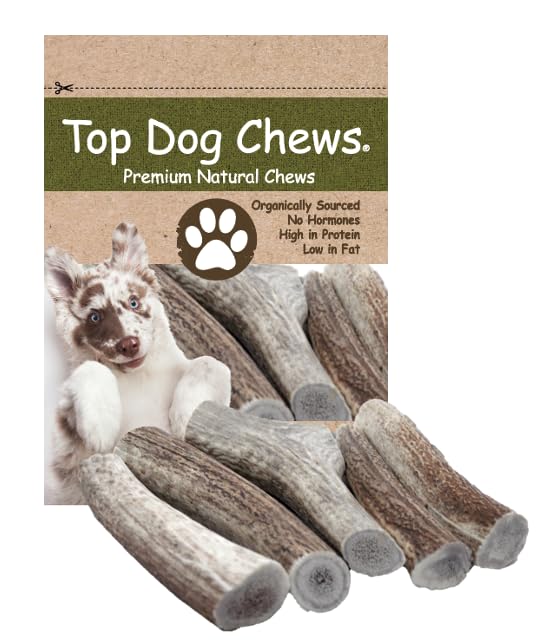 Top Dog Chews Premium Large Thick Elk Antler 5 Pack Dog Chew Treat Made in USA Brown