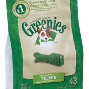 Greenies Mint Dental Stick for Dog 12 oz. 9.63 in. 1 pk