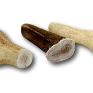 Top Dog Chews Premium Large Thick Elk Antler 5 Pack Dog Chew Treat Made in USA Brown