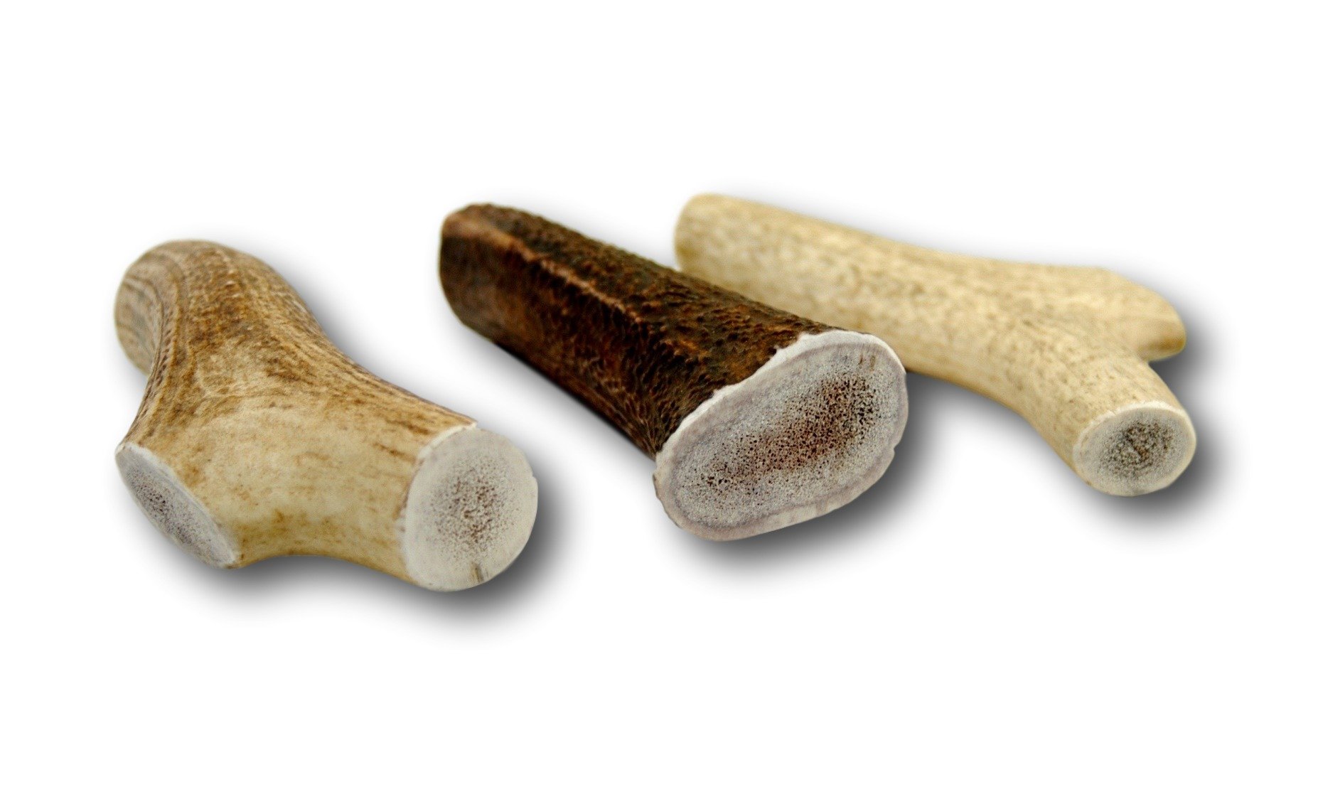 Top Dog Chews Premium Large Thick Elk Antler 5 Pack Dog Chew Treat Made in USA Brown