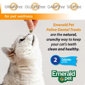 Feline Dental Treats — Tasty and Crunchy Cat Dental Treats Grain Free — Natural Dental Treats to Clean Cat Teeth, Freshen Cat Breath, and Reduce Plaque and Tartar Buildup — Salmon Treats, 3 oz