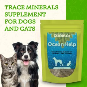 Animal Essentials Ocean Kelp for Dogs & Cats - Thyroid Support, Thyroid Supplement, Sea Kelp, Kelp Powder, Trace Mineral Supplement - 24 Oz